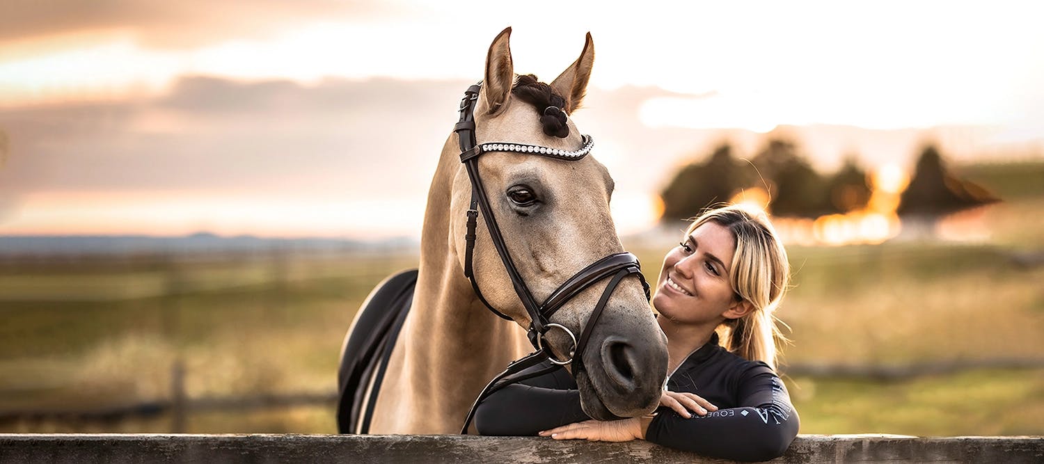 Buckskin mit rundgenähter Trense