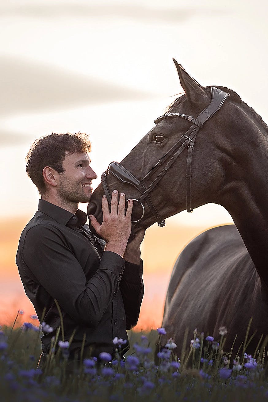Teamreiter pt_horse_health